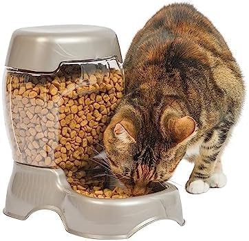 Petmate Pet Cafe Feeder Dog and Cat Feeder Pearlescent Colors 3 Sizes, Made in USA (Pack of 6)