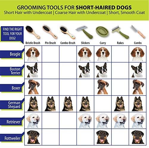 Coastal Pet Safari Comfort Grip Curry Brush for Dogs - Dog Bath and Shampoo Brush and Massager for Indoor & Outdoor Dogs with Short Hair - One Size