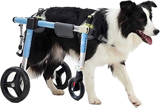 Mobility Aid for Dogs Back Legs Adjustable 4 Wheel Dog Wheelchair Cart Shock Absorbing All Terrain Wheels, Hind Leg Support for Paralyzed Disabled Senior Dogs Outdoor Use