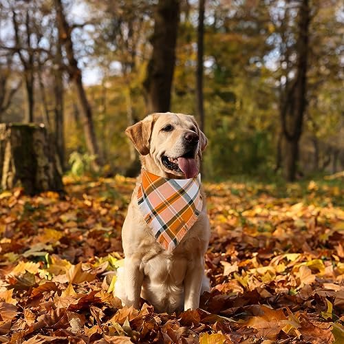 ADOGGYGO Fall Dog Bandana, Plaid Thanksgiving Bandanas for Dogs, X-Large