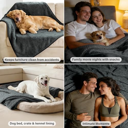 Catalonia Waterproof Dog Blanket, Reversible Leakproof Furniture Protector | Grey Fleece Mat for Small to Large Dogs & Cats, Helps Protect Sofa, Bed & Couch from Liquids, Urine & Messes, 40 x 60 Inches