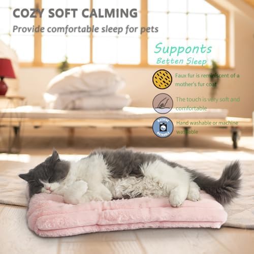 Extra Small Dog Crate Pad 18 x 12 Dog Beds for Tiny Dogs Deluxe Corduroy Fleece Fluffy Comfy Kennel Pad Washable Cute Flat Cat Bed Mat Pink Pet Sleeping Cushion for Mini Small Puppy Breeds XS