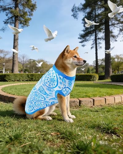 PET SHOW 4 Pack Summer Dog Shirts for Medium Large Dogs Boy UPF 50+ UV Sun Protection Cooling Clothes Tank Top Shark Puppy T-Shirts Pet Holiday Party Sleeveless Vest Blue(X-Large)