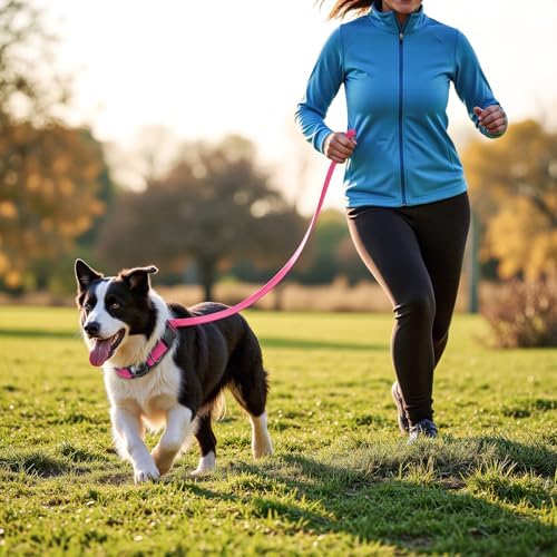 AirTag Dog Collar and Leash, IP68 Waterproof Integrated