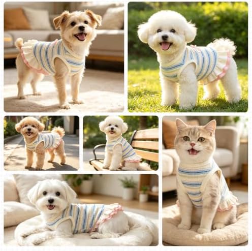 Striped Small Dog Dress Cute Pink Girl Dogs Cats Clothes, Blue XL