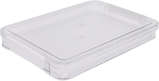 2Pcs Flat Plastic File Storage Bins, Sturdy PET Material with Non Slip Bottom and Transparent Lid, Stackable Document Organizer with Snap on for A4 Paper and Office Supplies