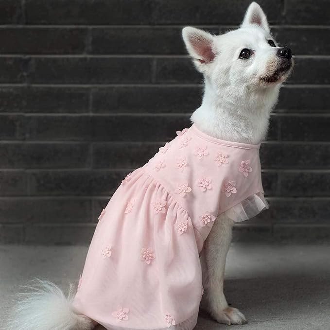Blueberry Pet My Little Princess Dog Clothes - St Patricks Day Dress Girls, Baby Pink Dog Dress, Cat Dress, Dog Easter Dress, Girls Birthday Dress, Dress Up Clothes - 16" Back Length