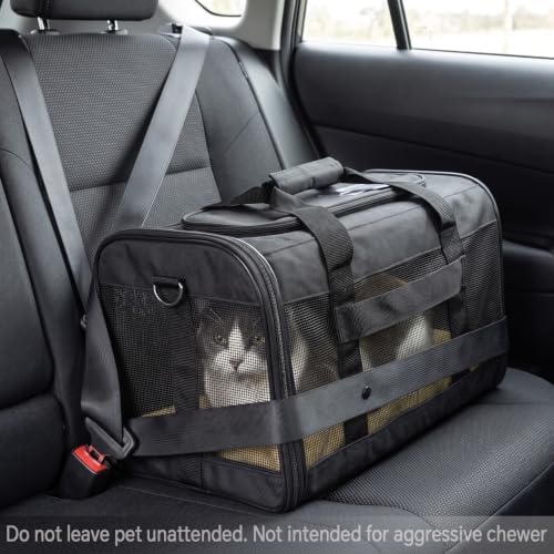 Conlun Cat Carrier Airline Approved, Soft-Sided Dog Carrier with Inner Safety Leash, Pet Transport Carrier for Small-Medium Cats Puppies up to 15 Lbs, Collapsible Travel Kitten Carrier Bag -Gray M | Airline Approved,with Inner Safety Leash,Collapsible ...