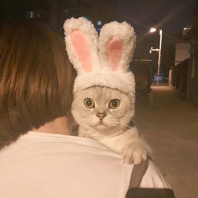 YUJUN Cat Easter Cute Costume Pet Bunny Rabbit Hat with Ears for Cats Small Dogs Puppy Easter Party Costume Accessory Headwear