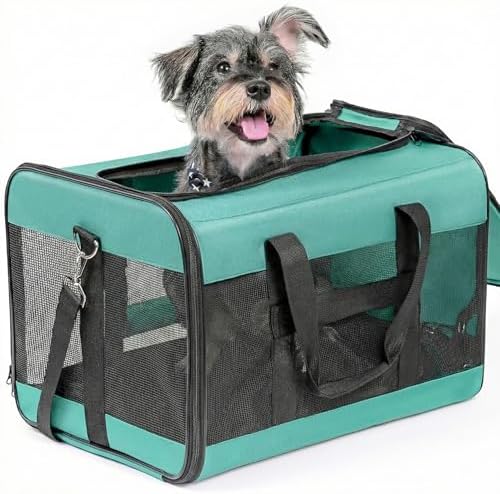 Conlun Dog Carrier Soft Sided, Large Cat Carrier up to 20 Lbs,Turq L | with Inner Safety Leash, Pet Transport Carrier for Large Cats and Medium Dog, Collapsible Puppy Carrier Bag