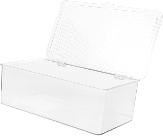 TEHAUX Sturdy Cd Storage Box Portable Cd Case Lid DVD Holder for Car Decorative Organizers for Home and Office