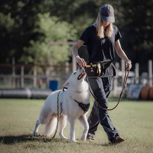 OllyDog Backcountry Day Bag | Dog Training Treat Pouch | Eco-Friendly Recycled Fabric Fanny Pack with Zipper Closure, Built-in Poop Bag Dispenser & Adjustable Waist Belt (Sol)