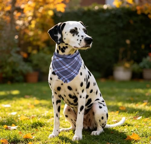 Fall Dog Bandana Autumn Thanksgiving Plaid Reversible Triangle Bibs Scarf