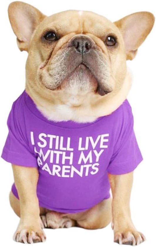 French Bulldog Shirt for Small Dog Clothes Breathable Stretchy Costumes(L) | Miss Pet,I Still live With My Parents Printed Puppy T-Shirts Cat Tee