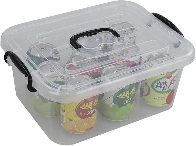 8 L Plastic Storage Boxes, Clear Storage Bin with Handle, 2-Pack | Secure Side Buckle Latches, Dustproof Lid, Clear Visible Body, for Home Office Storage