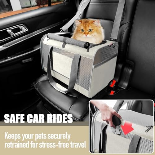 GAPZER Large Cat Carrier Soft, Collapsible Travel Pet Carry Bag, Small Dogs | Big Kitten Cat 20lbs Mainecoon, Top Open Travel Shih-Tzu Pet Kennel, Yorkie Small Dog 10 Pound, 18x12x12, Durable Cloth Beige