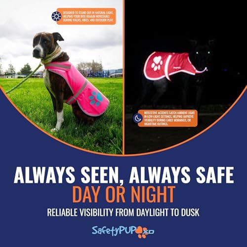 Reflective Dog Vest, Hi Vis Safety Gear for Low-Light Morning & Night Walks