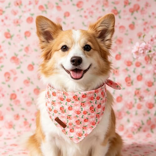 Peach Dog Bandana, Summer Peach Puppy Bandana for Small Medium Dog, Cotton Peaches Pet Triangle Bid Scarf Kerchief for Girl Boy Dogs or Cats