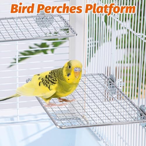 BNOSDM Bird Drinking Device and Parrot Shelf Training Stand for Budgies, Conures, Lovebirds