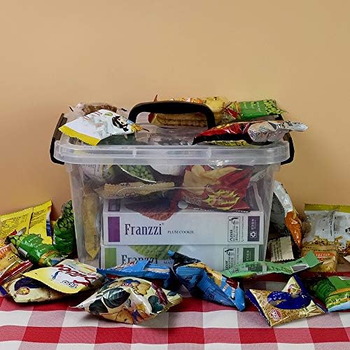 Farmoon 6 Quart Clear Lidded Storage Bin, Plastic Container Box, 6 Packs
