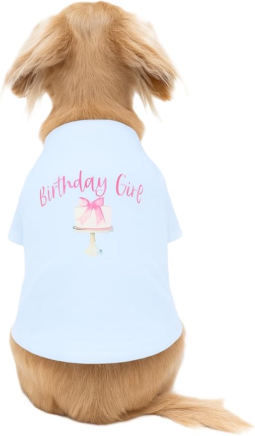 Luxury Designer Dog T Shirt – Cute Puppy Clothes for Small Dogs, Fashion Pet Tee Outfit for French Bulldogs & Chihuahuas, Everything Chic Dog Apparel