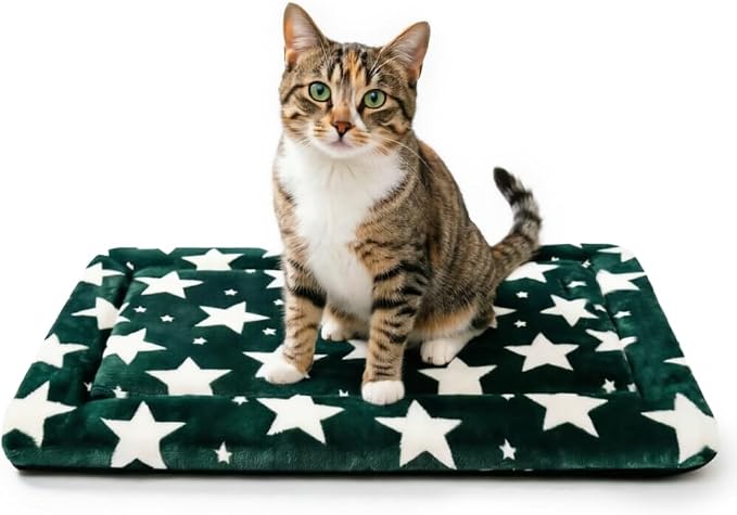 Dog Bed Mat, Reversible Crate Pad & Cute Dog Bed - Machine Washable Kennel Mat with Ultra Soft (Big&Small Stars Green, 18" L x 14" W x 1.5" Th)