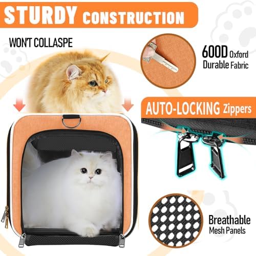 GAPZER Large Cat Carrier Soft, Collapsible Travel Pet Carry Bag, Small Dogs | Large Kitty Cat 20 lbs Maine Coon, Top Load Transport Small Puppy Dog Kennel, Yorkie Little Dog 10lbs, Sturdy Fabric Orange