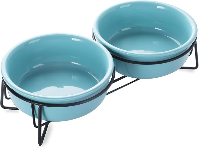 GDCZ Elevated Cat Bowl Stand, 11.6 in Metal Stand with 2 Removable 15 OZ Ceramic Bowls for Pet Food and Water, Stand Reduces Cat Neck Burden, Turquoise