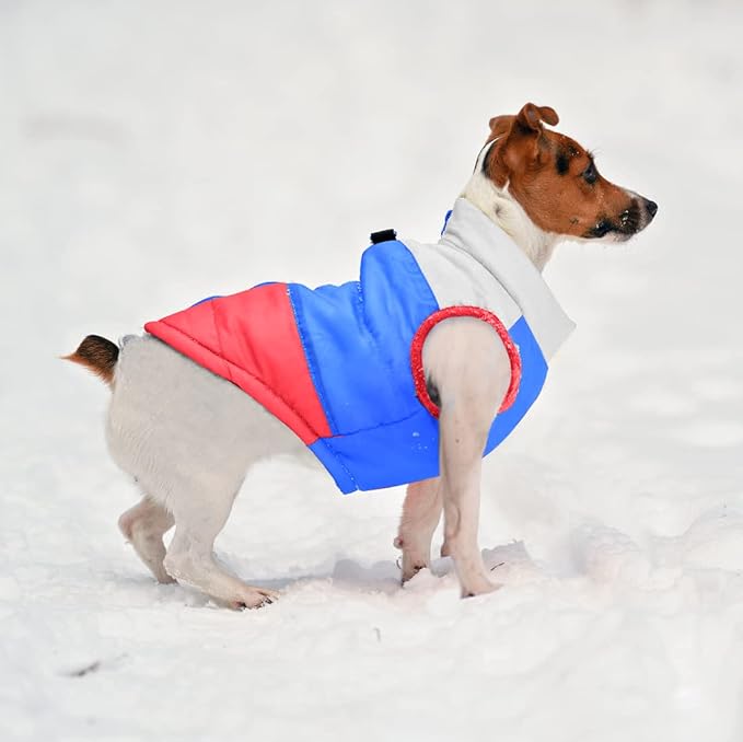 Idepet Pet Dog Cat Coat with Leash Anchor Color Patchwork Padded Puppy Vest Jacket Teddy Chihuahua Costumes Pug Cloth XS S M L (X-Small, Red)