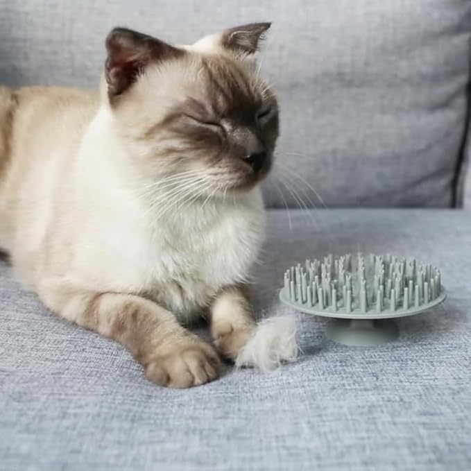 Toyvian Suction Cup Puppy Massage Brush Ergonomic Pet Bathing and Grooming Tool for Cats and Dogs Multi Functional Hair Cleaner and Massager Grey for Dematting and Shedding