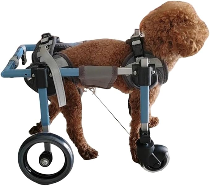 Pet Wheelchair for Dogs - Adjustable Dog Cart for Back Legs, Lightweight Aluminum Frame, Shock Absorbing Wheels for Disabled and Aging Dogs, Front & Back Leg Mobility Aid(S)