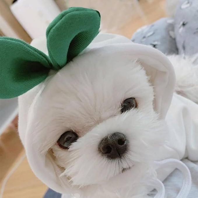 Pet Clothing Dog Transformation Shaped Hoodie (White Radish,S) | Autumn and Winter Warm Small Large Dog Method Dou Cat Clothes For French Bulldog Chihuahua Pug Boston Terrier Dachshund