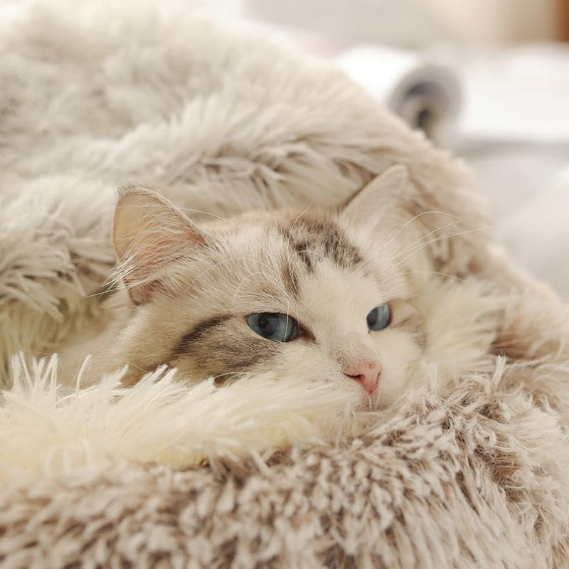 Round Fluffy Hooded Cat Bed Cave, Anti-Anxiety Cave Bed with Blanket | Hooded Cat Bed Cave, Cozy Cuddler Luxury Puppy Pet Bed, Anti-Slip Bottom and Machine Washable