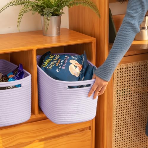 OIAHOMY 4 Pack Storage Baskets for Organizing 15L Cube Storage Bins Purple