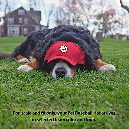 Littlearth Unisex NHL Pet Baseball Hat