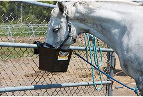 Little Giant® Plastic Hook Over Feeder | Mountable Livestock & Pet Feed Bucket | Horse Feed Bucket | Made in USA | 15 Quarts | Black