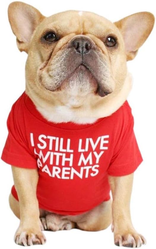French Bulldog Shirt for Small Dog Clothes Breathable Stretchy Costumes(L) | Miss Pet,I Still live With My Parents Printed Puppy T-Shirts Cat Tee