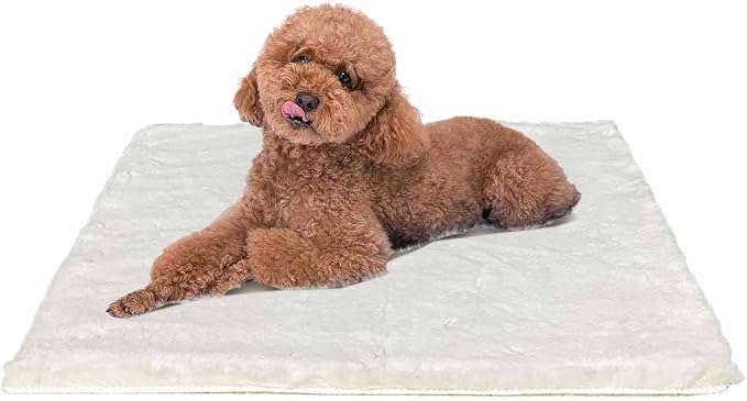 Dog Bed Mat Crate Pads for Dog Cages 24x17.7 Inch Washable Anti-Slip Dog Kennel Pad Soft Small Puppy Cage Cushion Liner, Beige