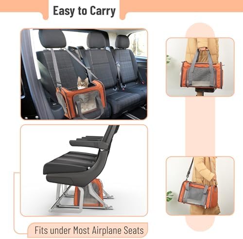 Mr. Pen- Pet Carrier, 17.5" x 11.2" x 11.5", Medium Size, Orange | Portable Travel Carrier for Small Pets, Cats & Small Dogs, Breathable Mesh, Safety Inner Leash