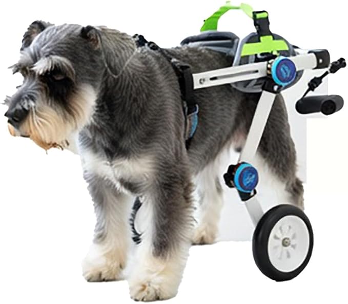 Dog Wheelchair Cart for Hind Legs Support Adjustable Pet Mobility Aid 3XS–M Aluminum Alloy Frame Shock Proof Bearings Durable Rubber Tires for Disabled Senior Dog Walking