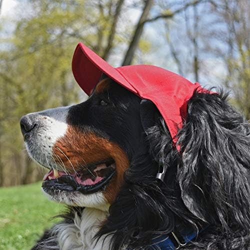Littlearth Unisex NHL Pet Baseball Hat