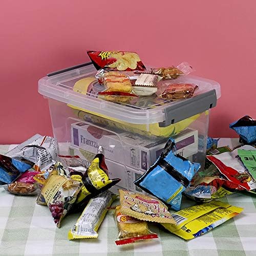 Farmoon 6 Quart Clear Storage Bin, Latch Box with Grey Handle, 6 Packs