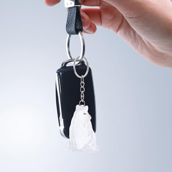 Hemoton Cat Fur Keepsake Keychain Transparent Cat Shape Pet Hair Keepsake Box Keychain with Lid Portable Memorial Keyring for Storing Pet Hair Souvenirs at Home or While Traveling