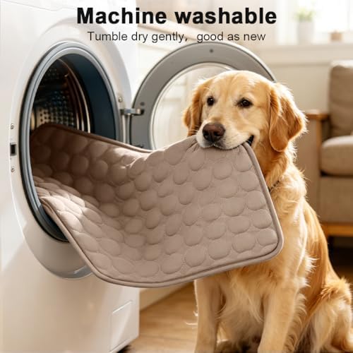 2026 Arc-Chill Upgraded Dog Cooling Mat Q-Max>0.4 Pet Cooling Pad | Non-slip Dog Bed Mats Washable Cooling Mat for Dogs Cats Instant Cool Relief for Indoor Floor Sofa, Outdoor Garden& Car Seats