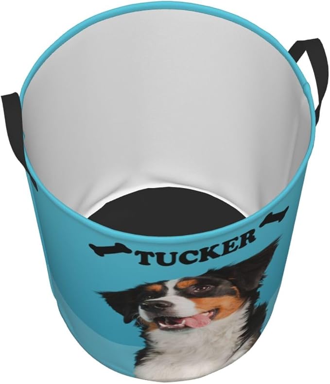 Personalized Large Dog Toy Storage Basket Bin Collapsible Custom Pet Stuff Box Chest Container for Living Room Organizer for Dog Toys,Dog Food,Blankets,Clothing (SkyBlue)