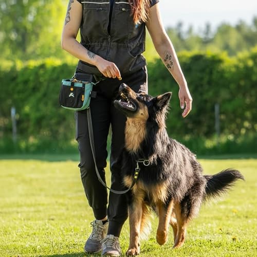 OllyDog Backcountry Day Bag | Dog Training Treat Pouch | Eco-Friendly Recycled Fabric Fanny Pack with Zipper Closure, Built-in Poop Bag Dispenser & Adjustable Waist Belt (Surf)
