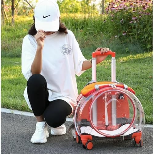Portable Multifunctional Pet Trolley Case Visible Transport Crate Transparent and Comfortable Basket