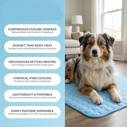 Pet Cooling Mat, ICY nap Dog mat, Portable Washable Ice Silk Cooling Pad for Dogs Cats, Breathable Foldable Mat for Large Small Dogs, Summer Cool Mat for Kennel Floor Car Sofa(Gray,M)