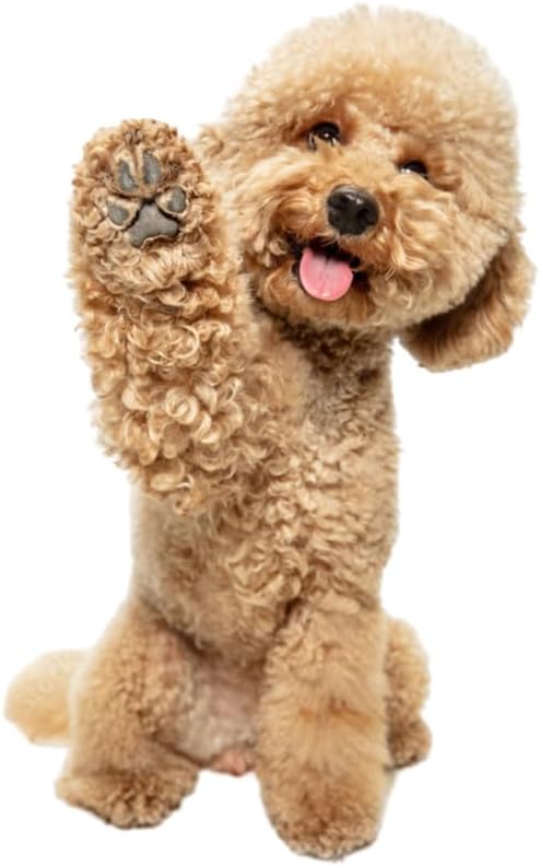 Dog T-Shirts for Small Dogs, Designer Dog Clothes, Luxury Lightweight Tee | Dog T-shirts for small dogs; soft lightweight designer dog clothes with luxury comfort for Chihuahuas, Yorkies and Dachshunds