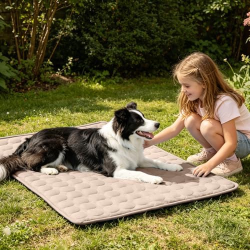 2026 Arc-Chill Upgraded Dog Cooling Mat Q-Max>0.4 Pet Cooling Pad | Non-slip Dog Bed Mats Washable Cooling Mat for Dogs Cats Instant Cool Relief for Indoor Floor Sofa, Outdoor Garden& Car Seats